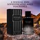 Voyage for Men Eau De Parfum  Sophisticated Male Fragrance Composition of bergamot Pepper Lavender Star Anise  Nutmeg  Base of Peppery  Vanilla  GoTo Daily Scent  Elegant 100ml Bottle