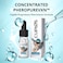 Pheromone Oil Perfume for Men Concentrate Drops 10ml  Infused with PheroPureVXN Original Pheromone Fragrance for Men