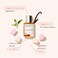 DossierEau de Parfum  Floral Marshmallow  Inspired by By Kilians LoveDont Be Shy  Perfume Luxury  Pure Infused  ParabenFree  Vegan  Feminine  For Women Fragrance 17 Fl 0z Spray 50ml