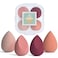 COSTICA Makeup Sponge Set Blender Beauty Sponge Makeup Blender Flawless for Liquid  Multi Colored 4 pcs Rose Series