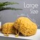 myHomeBody Bath Sponge Foam Loofah Sponge Body Sponge for Shower  Large Size Lots of Lather Curvy 3 Pack