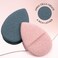 ST INC Face Scrubber Exfoliator Facial Sponges for Face Wash Reusable Makeup Remover Exfoliating Pads Blue and Pink 26 in x 39 in 2 Pack