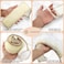 ALMOONIAlmooni Natural Egyptian Loofah Back Scrubbers for Use in Shower Exfoliating Natural Loofah Back Scrubber for Shower for Men and Women to Clean Your Back Deeply  1 Count 1 Pack