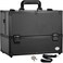 Joligrace Makeup Train Case Professional Adjustable  6 Trays Cosmetic Cases Makeup Storage Organizer Box with Lock and Compartments 14 Inch Large Black