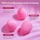 BEAKEYLatexFree Blender Makeup Sponge for Blending Pink Makeup Sponge Set Soft Beauty Sponge for Flawless Application of Liquid Cream and Powder Cosmetics