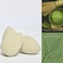 Green Tea Beauty Sponge  PlantBased EcoFriendly CrueltyFree DyeFree  LatexFree Blender Biodegradable  Vegan Makeup Sponge Makeup Blender Perfect for Liquid  Powder