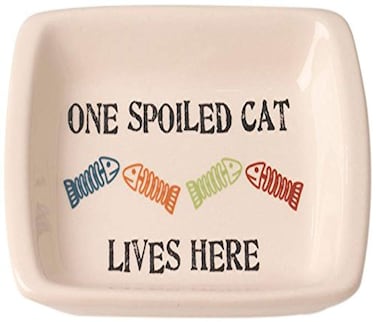 PetRageous 12010 One Spoiled Cat Rectangular Cat Saucer Bowl 25Ounce Capacity with 5Inch Width for Small Cats and Large Cats Natural
