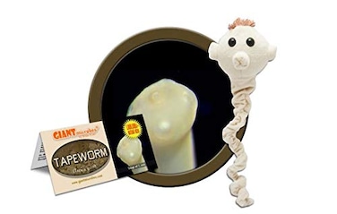 Giant Microbes Tapeworm Taenia Ovis Plush