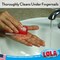 Lola Products Hand  Nail Brush 2 Sided  Soft  Stiff LongLasting Comfortable NoSlip Grip Cleans Hands  Fingernails Assorted Colors 1 Pack