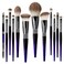 Bueart Design 16Pcs ULTRA SOFT Labeled Pro Makeup Brushes Set with Foundations Powder Blush Concealer Blending Eyeshadow Contour Brush 12Pcs Black Rose Blue