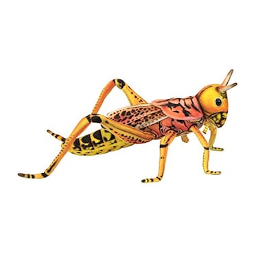 Hansa Locust Grasshopper Plush Soft Toy Insect 10inch Width Multicolor