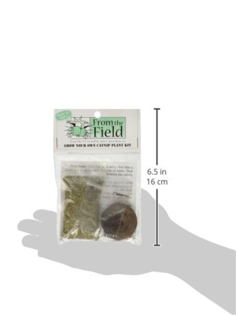 From The Field Grow Your Own Catnip Plant Kit
