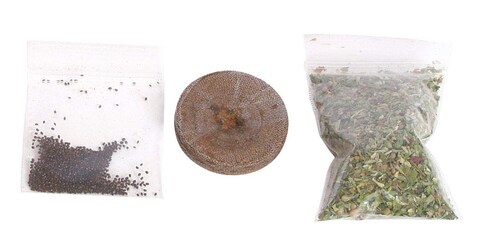 From The Field Grow Your Own Catnip Plant Kit