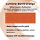 Jacquard Lumiere 225oz Fabric Paint Burnt Orange  Metallic Paint for Fabric Leather Canvas Paper and Wood  Lightbodied Metallic Acrylic Paint  Lightfast  Vibrant Metallic Acrylic Paints