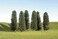 Bachmann Trains  SCENE SCAPES  5 6 CEDAR TREES 6 per box  HO Scale