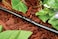 Rain Bird BC2510PS Drip Irrigation Universal 14 Barbed Coupling Fitting 14 Drip Tubing 10Pack