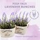 Butterfly Craze Artificial Lavender Plants in Rustic Wooden Planters  Lifelike Stunning Faux Silk Purple Flowers Perfect for Elevating Your Patio Home Dcor or Office Set of Two White Pots