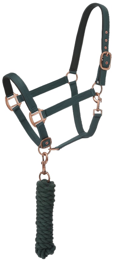 Tough 1 Tough1 Neoprene padded Halter with Antique Hardware Lead Set GreenHunter