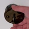 Danco Inc 89487 Lift and Turn Bath Trim Kit 1Pack Oil Rubbed Bronze