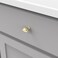Hickory Hardware 1 Pack Solid Core Kitchen Cabinet Knobs Luxury Cabinet and Dresser Knobs Handle Pulls for Doors  Drawers 114 Inch Polished Brass Williamsburg Collection