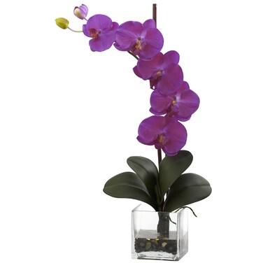 Nearly Natural 1324OR Giant Phalaenopsis Orchid with Vase Arrangement Orchid 15 in x 6 in x 26 in