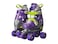 Chicago Skates Kids Adjustable Quad Roller Skates  Purple  Small CRS210SM