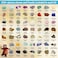 DANCING BEAR Rock Mineral  Geodes Treasure Hunt Activity Kit 200 Pc Set Real Shark Teeth Fossils ID Sheet  Rock Book STEM