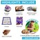 DANCING BEAR Rock Mineral  Geodes Treasure Hunt Activity Kit 200 Pc Set Real Shark Teeth Fossils ID Sheet  Rock Book STEM