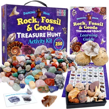 DANCING BEAR Rock Mineral  Geodes Treasure Hunt Activity Kit 200 Pc Set Real Shark Teeth Fossils ID Sheet  Rock Book STEM