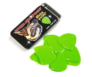 DAndrea Snarling Dog Brain Nylon Guitar Picks 12 Pack with Tin Box Green 053mm