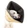 All Four Paws Comfy Cone Pet Cone for Dogs Cats XSmall Tan  Comfortable Soft Dog Cone Collar Alternative for After Surgery Wound Care Spay Neuter  Dog and Cat Recovery Collar