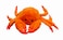 Jolly Pets Jolly TugaMal Crab TugSqueak Toy Extra Large Crab JTA65