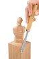 Professional 13 Piece Wood Carving Tools Starter Set  Stainless Steel Chisel Carver Kit w Free Carrying Case  Deluxe Beginner Pack w 8 Chisels 3 Sharpening Files and 2 Rasps Great Gift