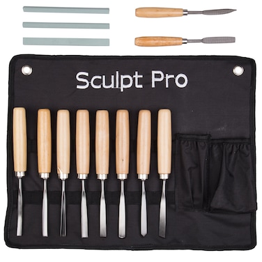 Professional 13 Piece Wood Carving Tools Starter Set  Stainless Steel Chisel Carver Kit w Free Carrying Case  Deluxe Beginner Pack w 8 Chisels 3 Sharpening Files and 2 Rasps Great Gift