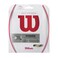 Wilson NXT Power 16 Tennis String  Set White