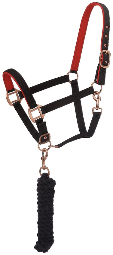 Tough 1 Neoprene Padded Halter with Antique Hardware Lead Set Black
