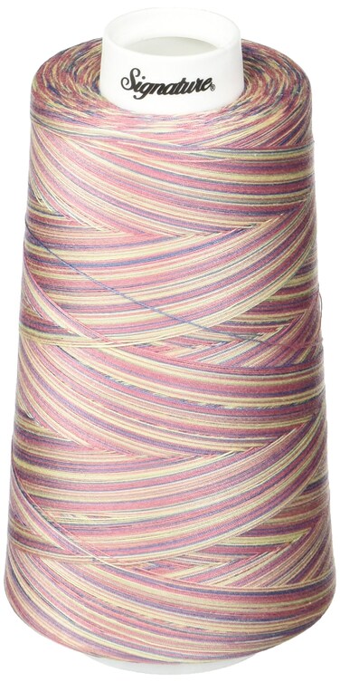Signature Thread 40wt3000 yd Variegated Victorian