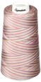 Signature Thread 40wt3000 yd Variegated Victorian
