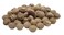 General Tools 311038 38Inch Button Plugs Oak 50Pack