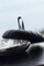 EVA SOLO  Ice Cube Cooler with Tongs  Metal Ice Cube Tray  Danish Design Functionality  Quality  Black