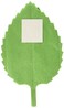 Beistle Spring Leaf Garland