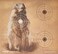 Crosman Varmint Targets 20Pack