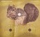 Crosman Varmint Targets 20Pack