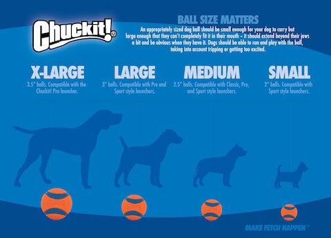 ChuckIt Erratic Ball Dog Toy Small 2 Pack