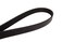 Continental 4060820 OE Technology Series MultiV Belt