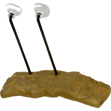 Zoo Med Mini Turtle Dock