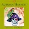Mill Hill Irate Pirate  Fridge Magnet  Cross Stitch Kit