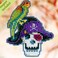 Mill Hill Irate Pirate  Fridge Magnet  Cross Stitch Kit