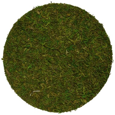 SuperMoss 26310 Moss Soil Toppers Place Mats Fresh Green 10 3 units