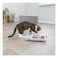 TRIXIE Cat Activity Brain Mover Strategy Game for Mental Stimulation Interactive Play for Cats Treat Dispenser Cat Toy